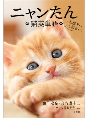 cover image of ニャンたん　～猫英単語～